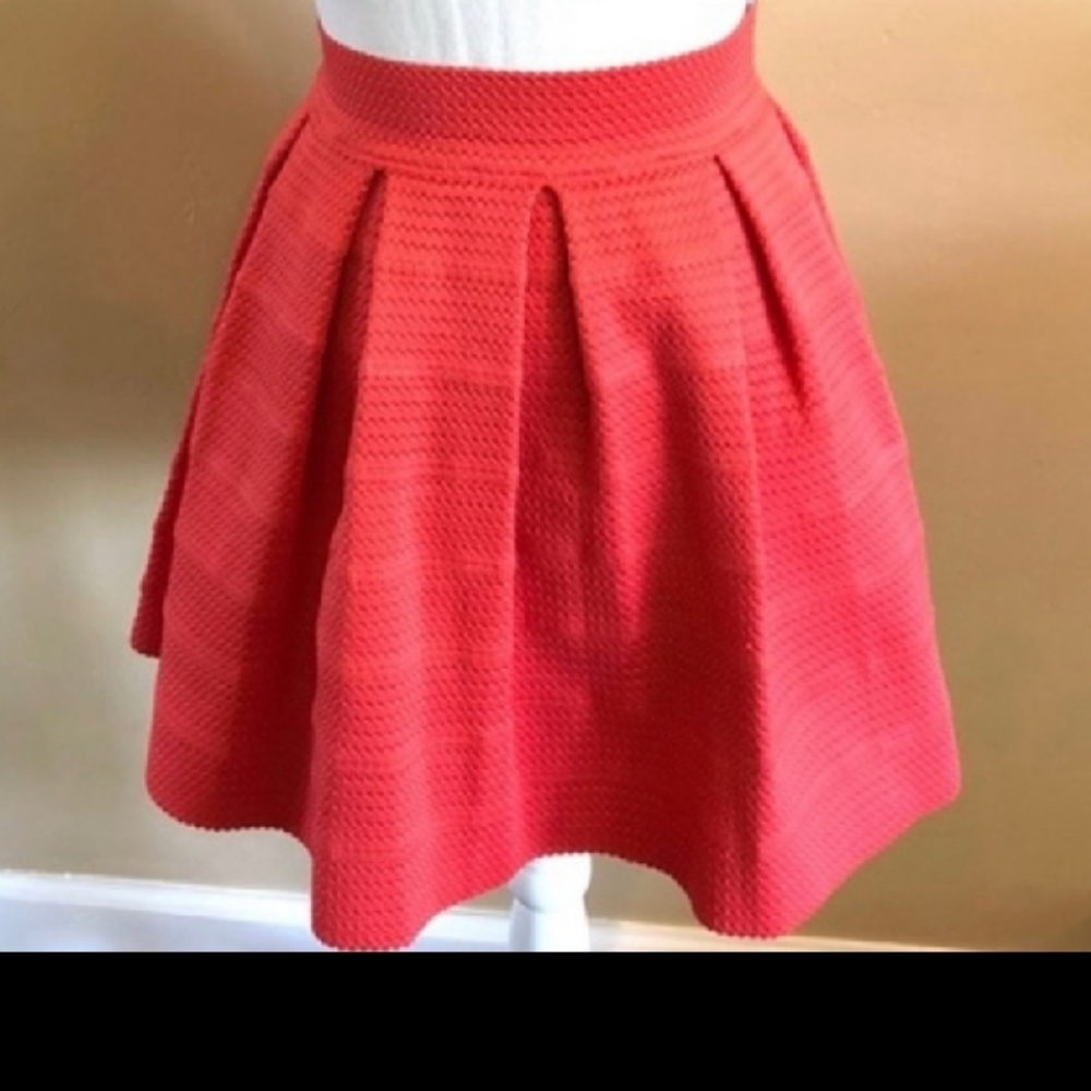 Express Red skirt
